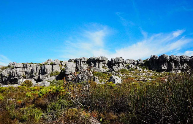 Skeleton Gorge Hiking Tour from Cape Town - Photo 5
