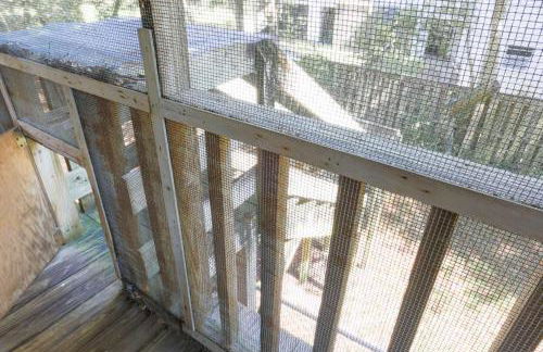 Decked Out - Foto 25