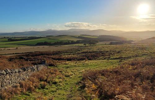 Honeysuckle Cottage - Photo 31