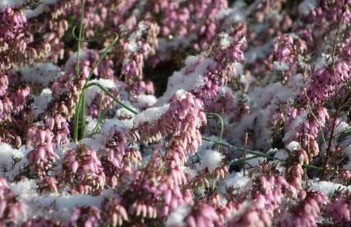 Ferienwohnung Hirschkopf - Foto 10