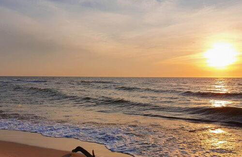 Pod orzechem - Foto 23