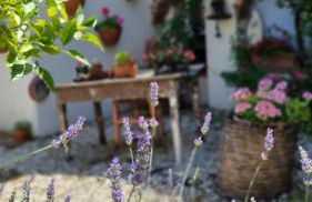 Giardino Dei Limoni Apartment - Foto 47