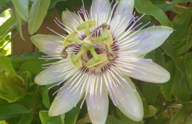 Ca' Giorgio - Foto 17