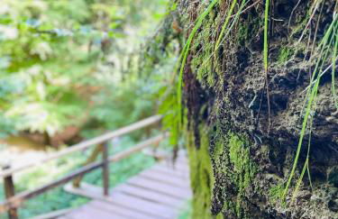 Ferienwohnung Eisenach - Kamin & Garten - Hunde willkommen - Foto 33