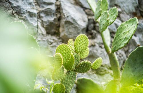 Nera Etwa House - Photo 56