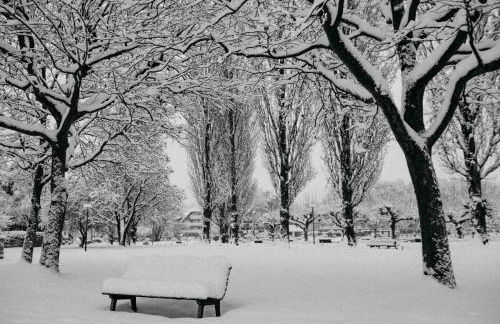 Haus zur Aach Tinyhouse - Foto 35