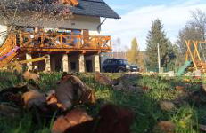 Leśny Domek - Foto 65