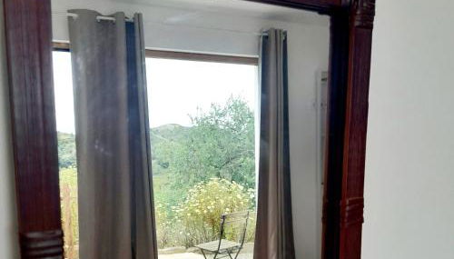 Natur Amêndoa - Foto 5