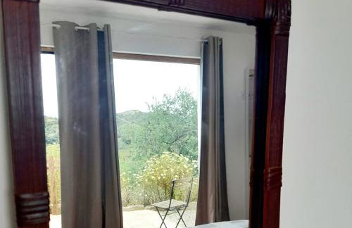 Natur Amêndoa - Foto 5