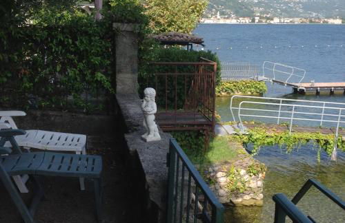 Le palme Antonella - Foto 15