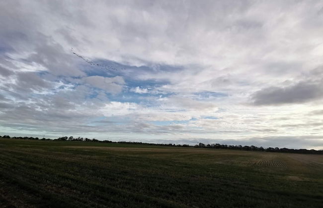 4 Star Holiday Home in Dannemare - Foto 13