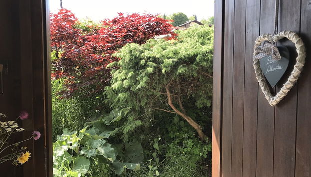 Entrada (vista interior)