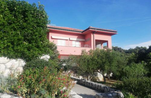 Villa Matovica - Photo 56