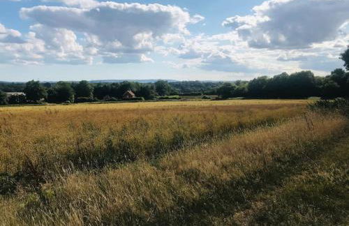 The Piggery - Foto 12