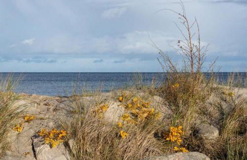 194 Fewo Dat LütjeHuus mit Dachterrasse im ersten Stock - Foto 41