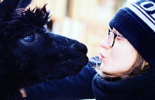 Chata Pod Lasem - Foto 13