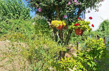 Apartment Nena- apartman sa posebnim ulazom u prizemlju, terasom i zelenom okućnicom - Foto 25