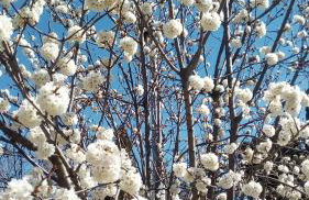 Domaine du Mas Foucray - Foto 78