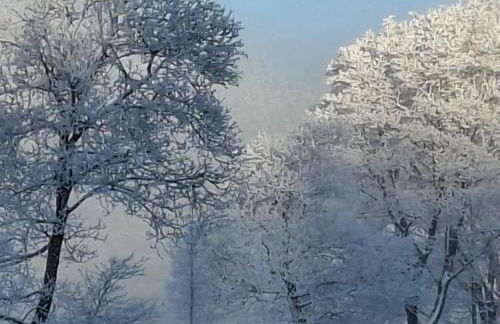 Ferienwohnung mit Herz - Foto 19