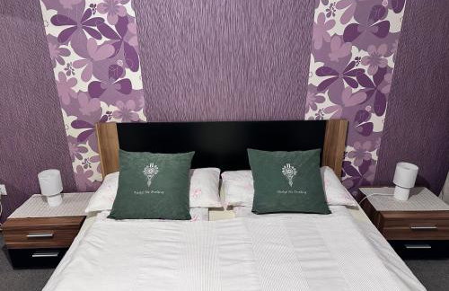 Dom przy szlaku GSB-Noclegi Na Przełęczy-Agroturystyka - Foto 5