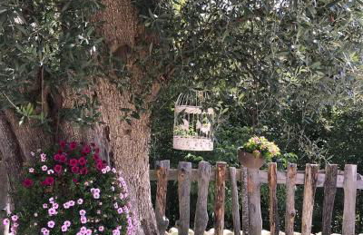 Agriturismo Le Faeta - Foto 43