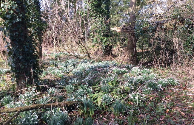 Marshwood Farm B&B - Photo 18