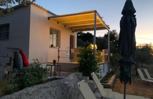 Olive Hill Private House - Foto 21