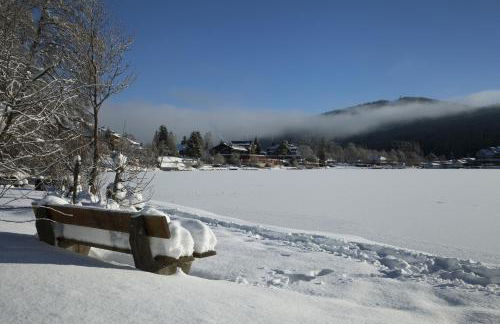 Abnoba Mons Design Apartment Lenzkirch - Photo 22