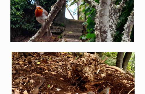 La casita del Lagar - Foto 33