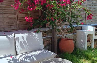 Tribo da Praia - Foto 19