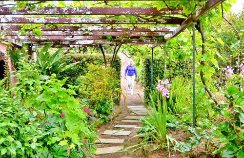 Quinta Nossa Senhora de Lourdes - Photo 20