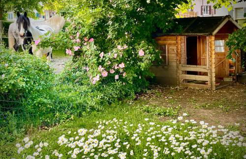 Rohrachhof - Foto 12