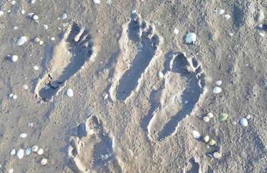 Ferienhaus Butjadingen - Haus Ruhwarden - Foto 15