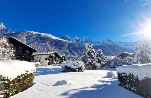 Chamonix Appartement Vue Mont Blanc avec jardin - Foto 10