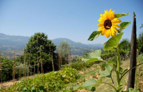 Tana Libera Tutti 3 Nature, Yourself, Love - Foto 28