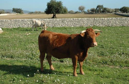 Agriturismo Il Melograno - Foto 96