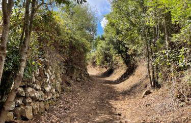 Monte del Agua House - Foto 42