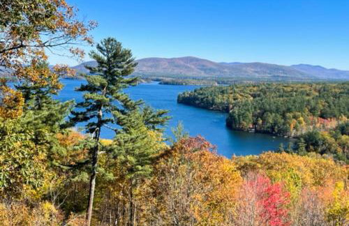 Clear Skies - Foto 31