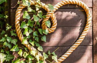 Haus am Wald - Ferienhaus mit Garten & Hund in der Sächsischen Schweiz - Foto 30