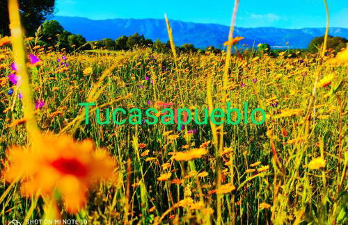 Tu Casa de Pueblo - Photo 19