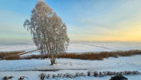 Ferienwohnung Sunrise - Mit direktem Blick auf das Steinhuder Meer - - Foto 3