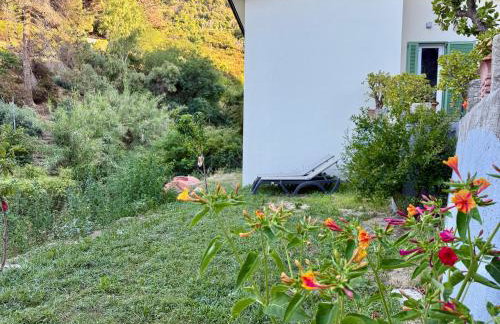 La casa dei mandorli - Photo 19