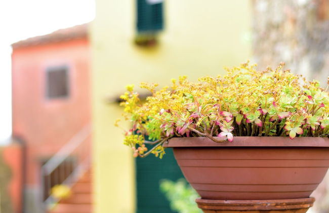 Agriturismo Castello delle Fornaci - Private Jacuzzi - Foto 17