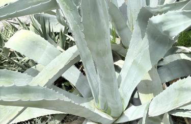 Island home Green Escape Cres - Foto 27