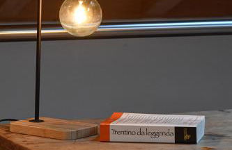 Relax in Pineta - Photo 33