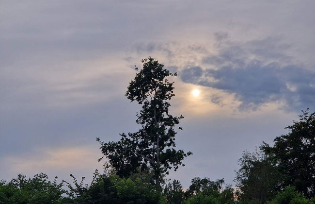 8 Person Holiday Home in Allingabro-by Traum - Photo 18