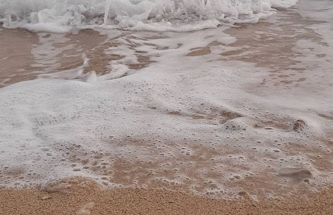 Villa Olive Tree - Foto 49