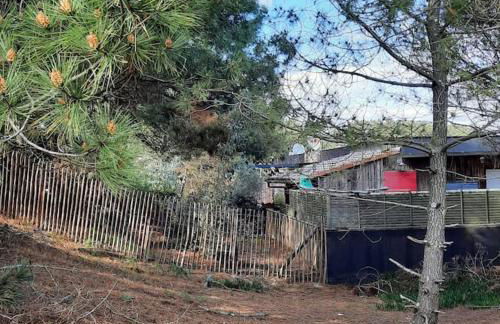 Appartement terrasse, quartier très prisé - Foto 3