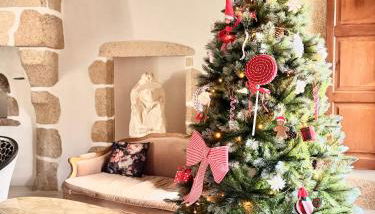 Le Manoir médiéval de Garance - Foto 2