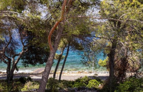 Villa Mala Smišna Poolside Paradise by the Sea - Photo 25